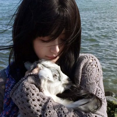 风流何价